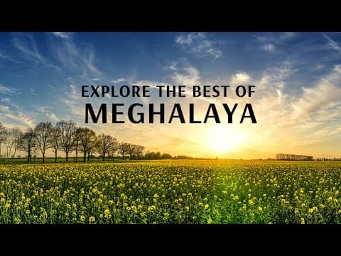 Explore the Best of Meghalaya With Flamingo Transworld