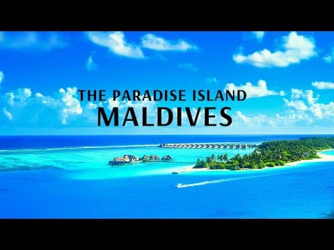 .The Paradise Island Maldives With Flamingo Transworld