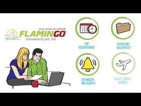 All About Flamingo App! - Flamingo Travels