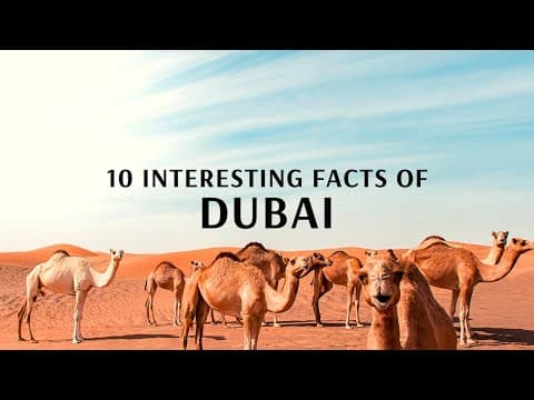 10 Interesting Facts of Dubai | Flamingo Transworld