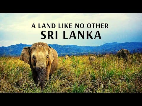 A Land Like No Other Sri Lanka With Flamingo Transworld