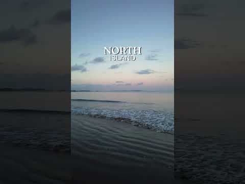 Captivated by the stunning landscapes and thrilling adventures in New Zealand!