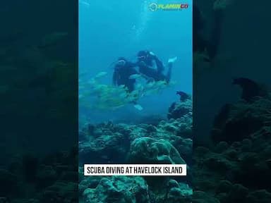 Bucket list Experience to cover in India