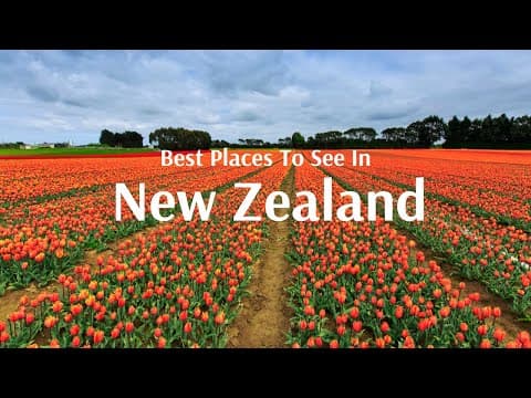 Travel to New Zealand with Flamingo Transworld
