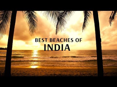 Best Beaches of India With Flamingo Transworld