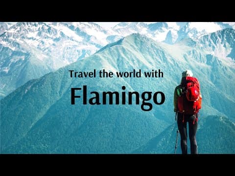 Travel the world with FLAMINGO! - Flamingo Travels