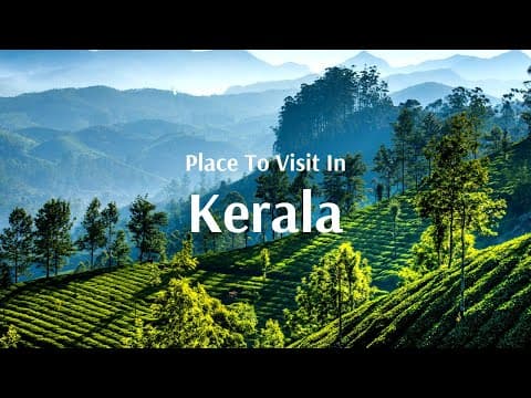Kerala Tour Packages with Flamingo Transworld