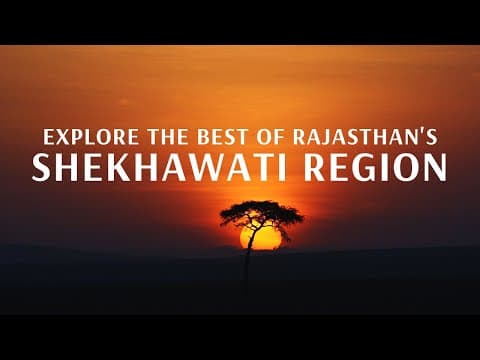 Explore The Best of Rajasthan's Shekhawati Region With Flamingo Transworld