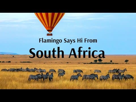Flamingo says Hi from South Africa!!! - Flamingo Transworld