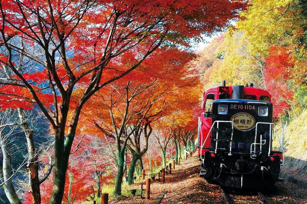 Arashiyama Romantic Train