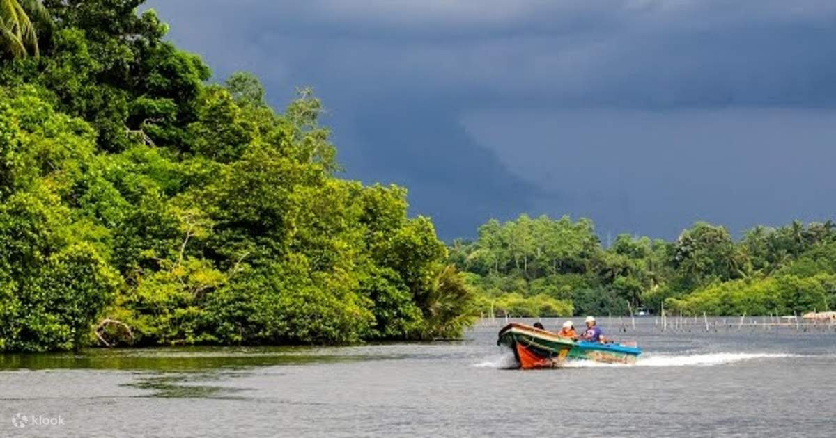 Bentota Madu Ganga River Safari in Balapitiya