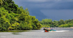 Bentota Madu Ganga River Safari in Balapitiya