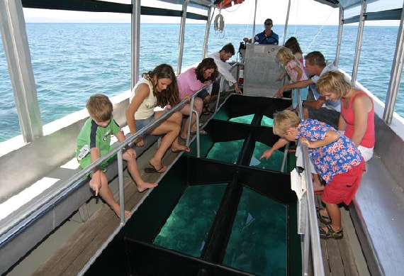 Big Cat Green Island Glass Ottom Boat - 0