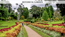 Botanical Gardan