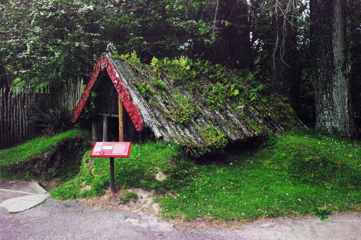 Buried Village of Te Wairoa Tour