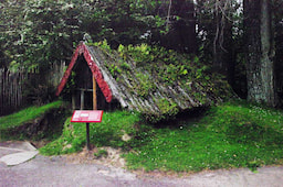 Buried Village of Te Wairoa Tour