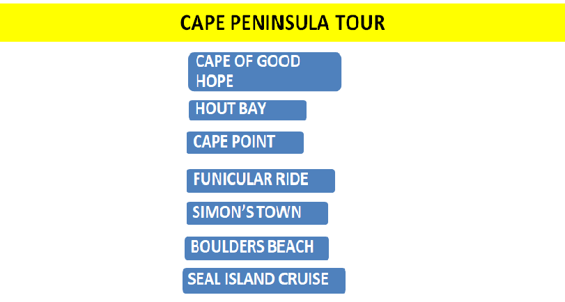Cape peninsula Tour