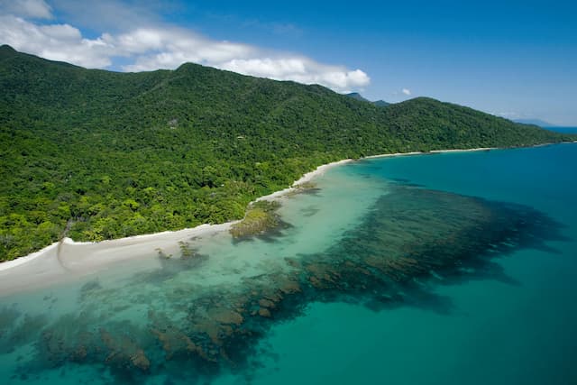 Cairns to Cape Tribulation Self Drive