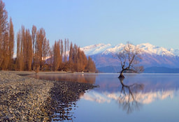 Day Trip To Arrow Town- 0