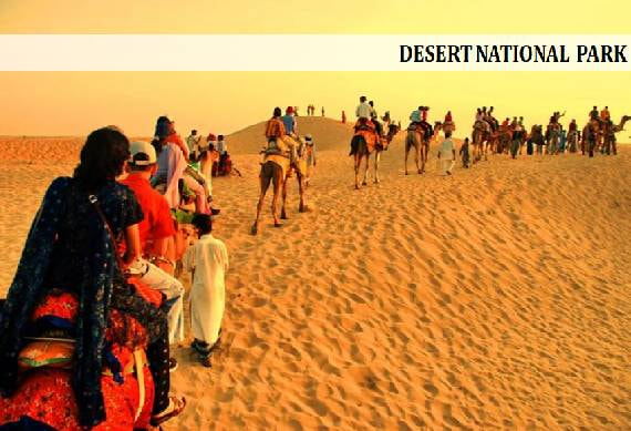 Desert_national_park_Jaisalmer