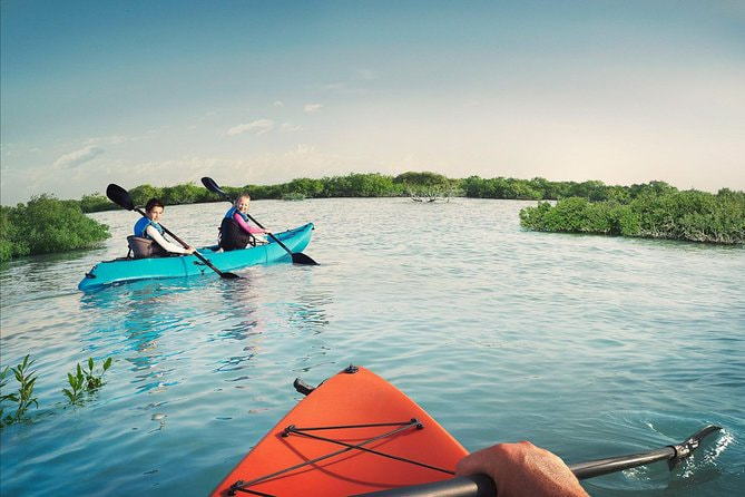 Eastern Mangrove Kayaking 
