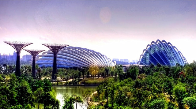 Garden By The Bay.1