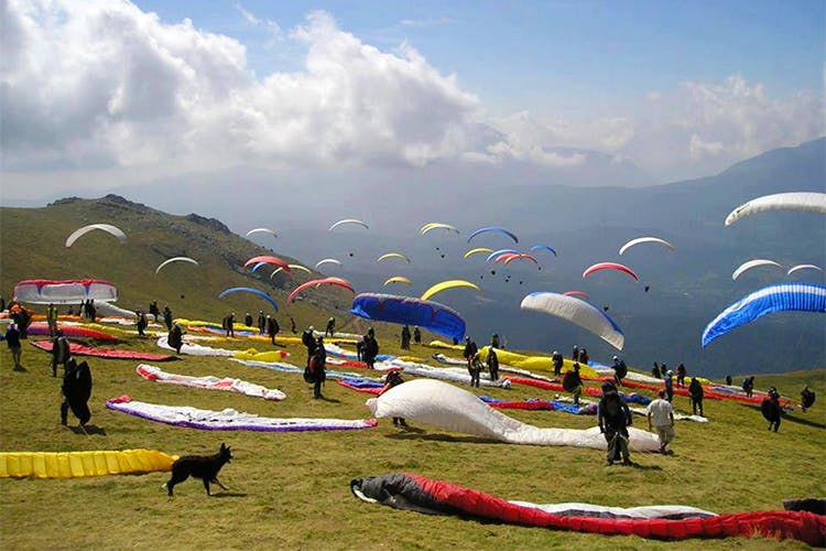 Get Flying Experience by Paragliding Sport in Kangra - Bir billing