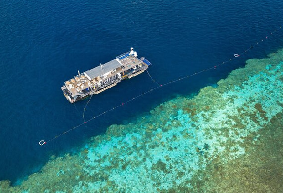 Full Day Cruise To Great Barrier Reef
