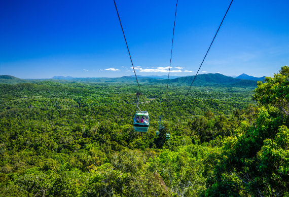 Half Day Kuranda Village Tour With One Way Skyrail - 0