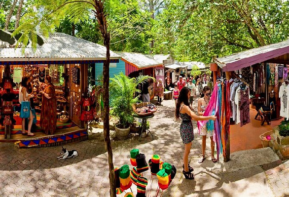 Half Day Kuranda Village Tour With One Way Skyrail - 0