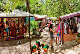 Half Day Kuranda Village Tour With One Way Skyrail - 0