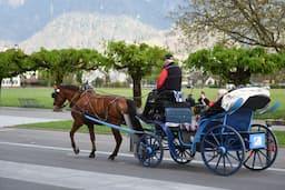 Interlaken Carriage