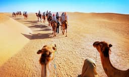 Jaisalmer-Desert-camel-Safari