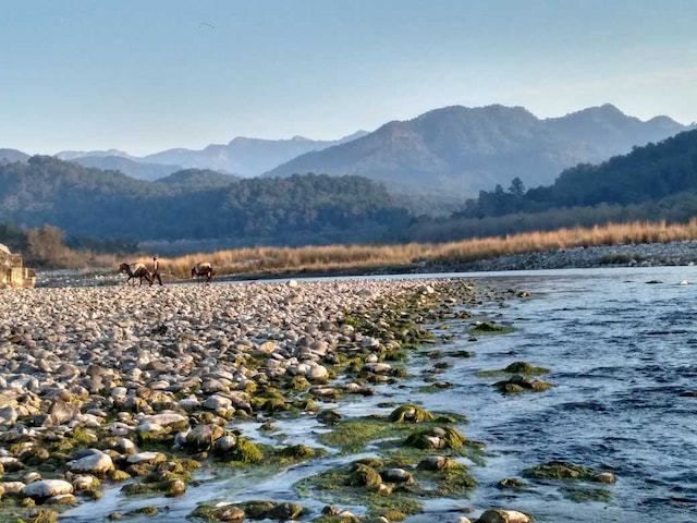 Kosi River, Jim Corbett National Park, Ramnagar, Uttarakhand