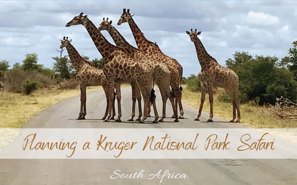 Kruger National Park - 1