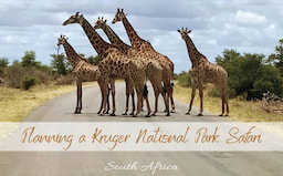 Kruger National Park - 1