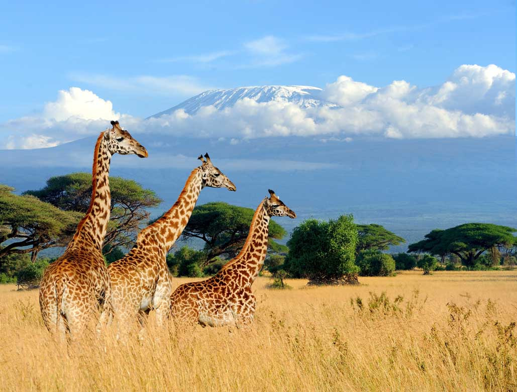 Mount Kenya 3