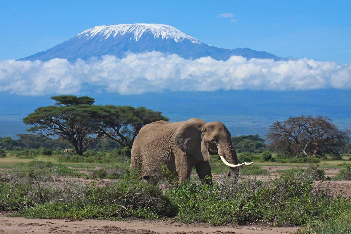 Mount Kenya 5