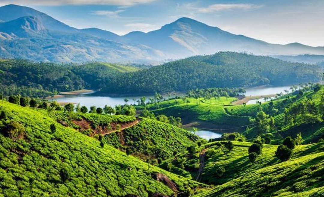 Best time to visit in Munnar