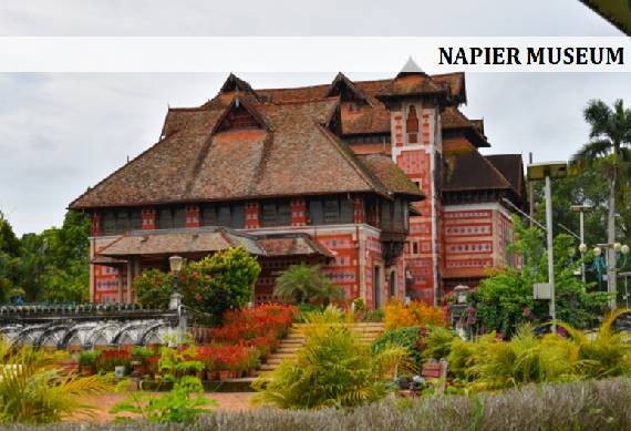 Napier_Museum