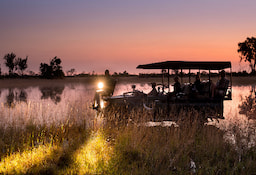Game Drive Okavango Delta 