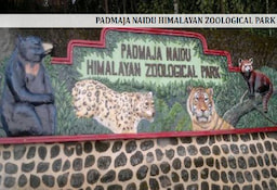 Padmaja_Naidu_Zoo