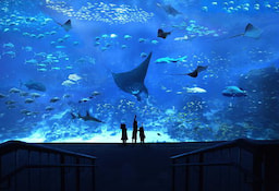 SEA Aquarium 4jpg