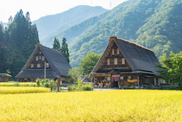 Shirakawa Go Ancient Village