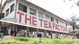 Tea Factory / Museum