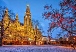 Rathaus der stadt wien Vienna