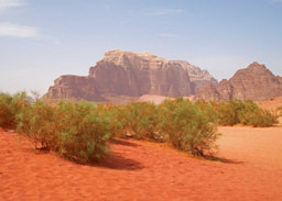 Wadi Rum3