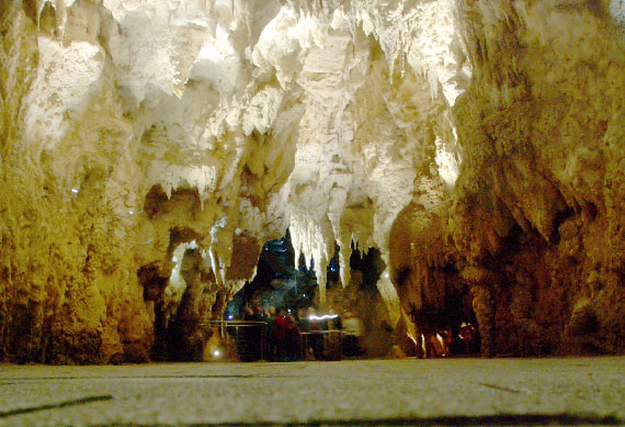 Waitamo Caves