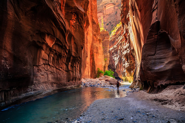 Zion National Park Day Tour From Las Vegas