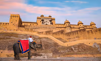 Amer Fort